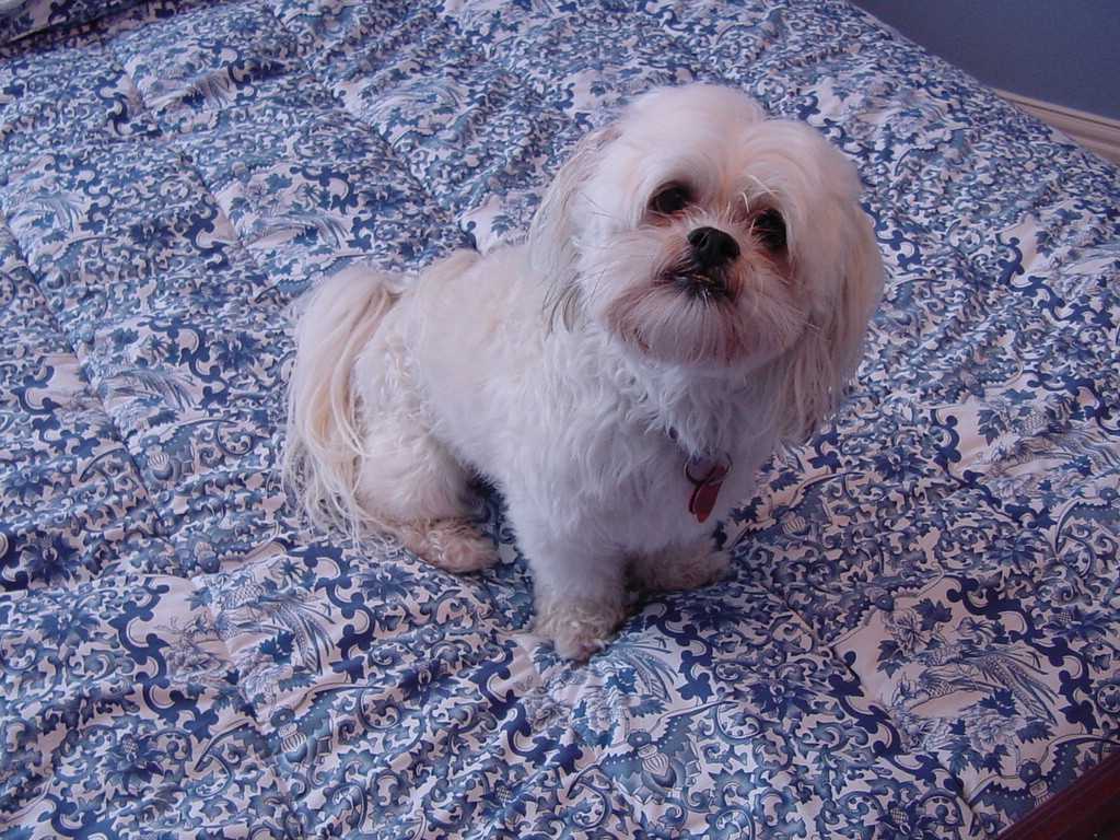 Maggie photo